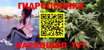 трава Славянск-на-Кубани
