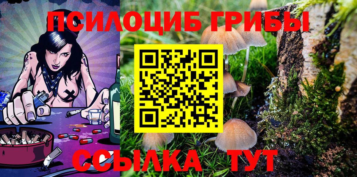 Псилоцибиновые грибы Magic Shrooms Павловский Посад