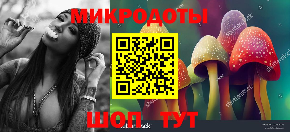 закладки  Вход с VPN  Павловский Посад  Псилоцибиновые грибы мицелий 