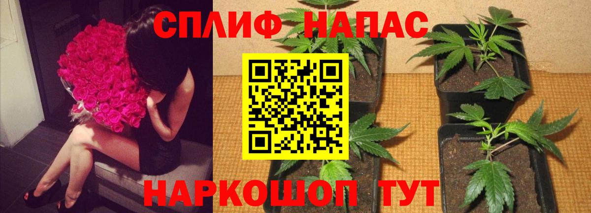 Канабис индика Павловский Посад